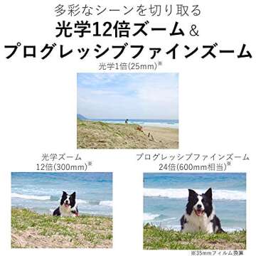 Canon Compact Digital Camera IXY 650 12x Optical Zoom IXY650 (BK) (Black) (Renewed)