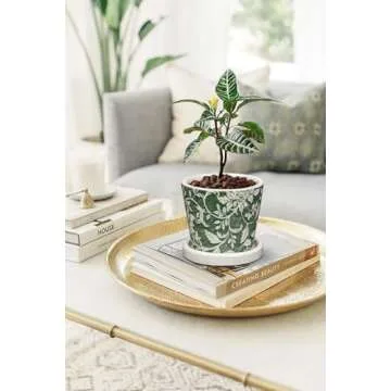 Vintage Ceramic Plant Pots Set for Indoor Plants