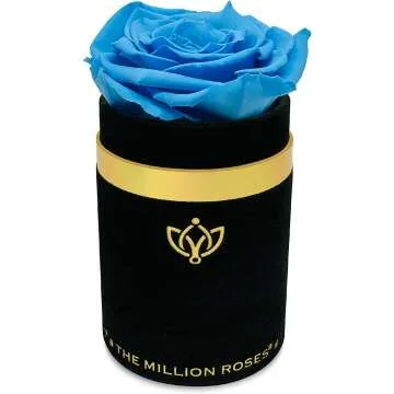 Light-Blue Luxury Rose - Timeless Gift in Suede Box