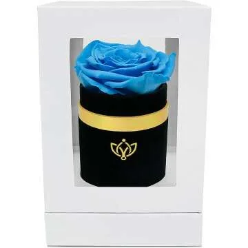 Light-Blue Luxury Rose - Timeless Gift in Suede Box