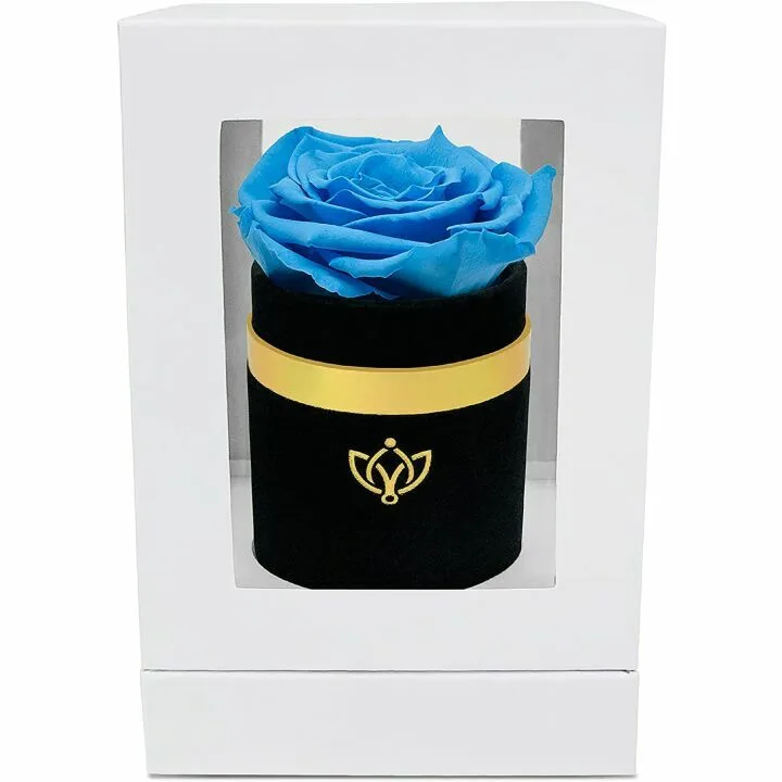Light-Blue Luxury Rose - Timeless Gift in Suede Box