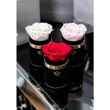 Light-Blue Luxury Rose - Timeless Gift in Suede Box