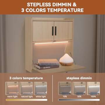 Compact Wall Mounted Desk with LED Light for Home