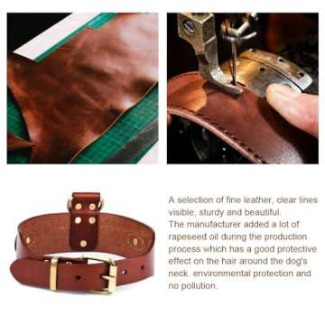 PESHOUCO Genuine Leather Dog Collar with D-Handle
