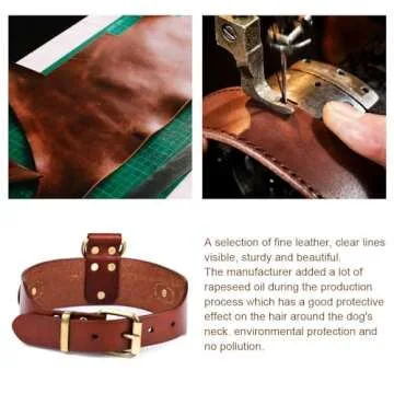 PESHOUCO Genuine Leather Dog Collar with D-Handle
