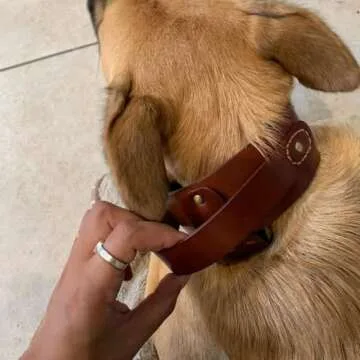 PESHOUCO Genuine Leather Dog Collar with D-Handle