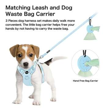 Petmolico Dog Harness for Small Dogs, Cute Harness Vest with Two Leash Clips and Soft Handle, Reflective Easy Walk Puppy Vest - Light Blue, Small