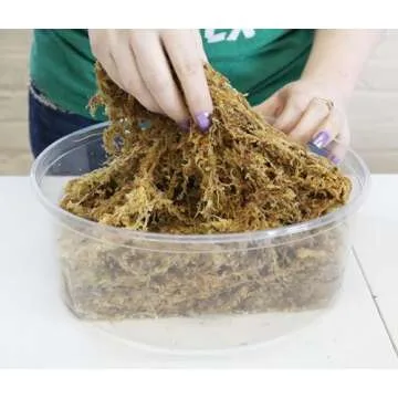 besgrow Premium New Zealand Sphagnum Moss, 100g (8L When Hydrated) - Harvested Sustainably from The ...