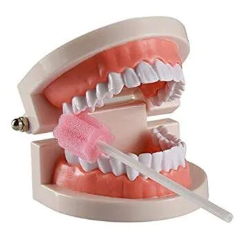 Gentle 100PCS Disposable Oral Swabs for All Ages