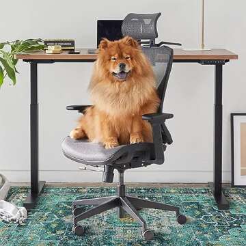 Anidaroel 48"x60" Chair Mat for Hardwood Floor/Tile Floor, Desk Chair Mat for Hard Floors, Under Desk Rug Protector for Rolling Chair, Computer Gaming Chair Mat, Low Pile Carpet Floor Mat