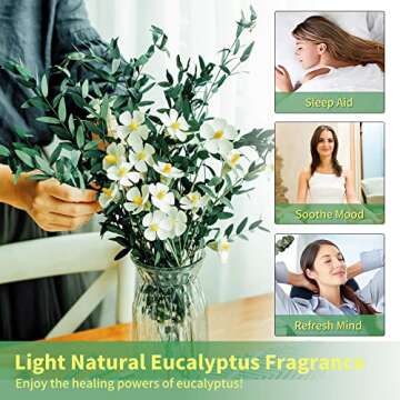 Real Eucalyptus Stems - Preserved Fresh Eucalyptus for Home Decor and Weddings