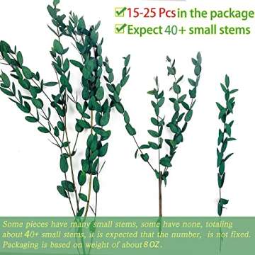 Real Eucalyptus Stems - Fresh Greenery for Decor and Weddings