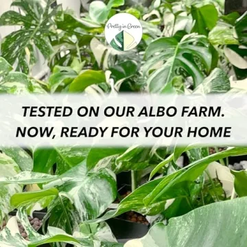 Leaf LUX Liquid Fertilizer - 40 Gallon Concentrated Solution