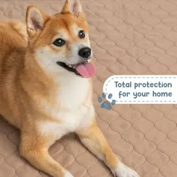 EZwhelp 36 Inch Reusable Dog Pee Pad for Potty Training