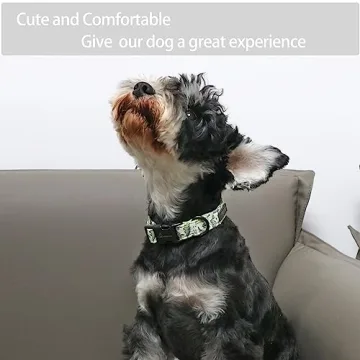 Adjustable ARING PET Dinosaur Dog Collar for Dogs