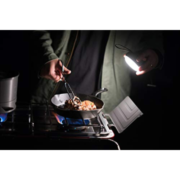 Camp Chef 10" Seasoned Cast Iron Skillet for Perfect Cooking