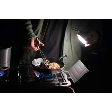 Camp Chef 10" Seasoned Cast Iron Skillet for Perfect Cooking