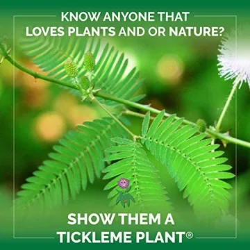 Fun TickleMe Plant Seed Pack – Perfect Gift for All Ages!