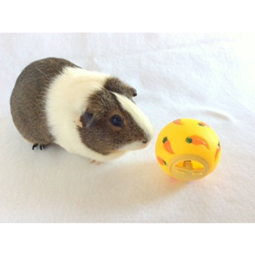 Wheeky Treat Ball Toy for Small Pets - Interactive Fun