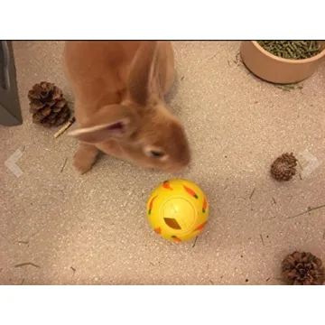Wheeky Treat Ball Toy for Small Pets - Interactive Fun