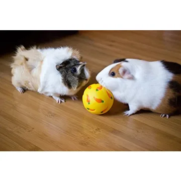 Wheeky Treat Ball Toy for Small Pets - Interactive Fun