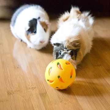 Wheeky Treat Ball Toy for Small Pets - Interactive Fun