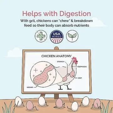 Mile Four Chick Grit for Baby Chicks - Chickens Age 0-8 Weeks, 100% Natural Mineral Chick Grit Quartzite, Poultry Grit Digestive Aid, USA Mined, 4 lbs