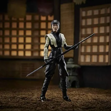 Premium G.I. Joe Akiko Action Figure for Collectors