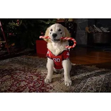 Santa Buddies DVD for Heartwarming Family Fun