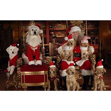 Santa Buddies [DVD]