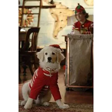 Santa Buddies DVD for Heartwarming Family Fun