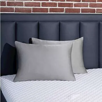 BEIJOEY 100% Mulberry Silk Pillowcase 2 Pack for Hair and Skin,with Hidden Zipper,Both Sides 19 Momme 600 Thread Count Natural Silk Pillow Cover,Soft Breathable Smooth (Gray, Standard 20''x26'')