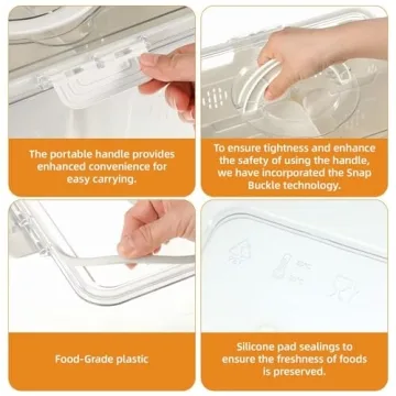 Divided Serving Tray with Lid - 4 Compartments for Fruits