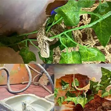 MUYG Crested Gecko Coconut Hut with Ladder,Natural Bearded Dragon Coco Den Reptile Shell Hideout Husk Hut Climbing Plants Leaves Tank Accessories for Lizard Chameleon Snakes