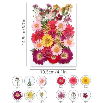 Asopetch 120 Pcs Natural Dried Flowers for Crafting