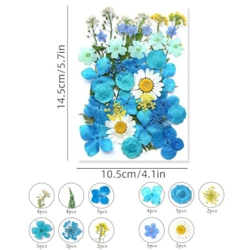 Asopetch 120 Pcs Natural Dried Flowers for Crafting