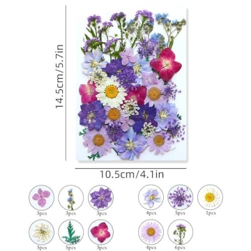 Asopetch 120 Pcs Natural Dried Flowers for Crafting