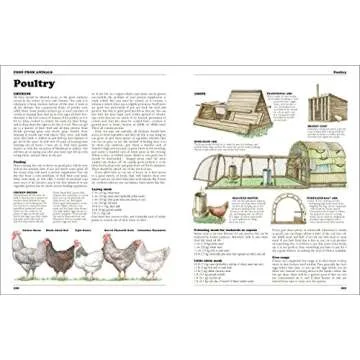 New Complete Book Of Self Sufficiency for Eco-Friendly Living