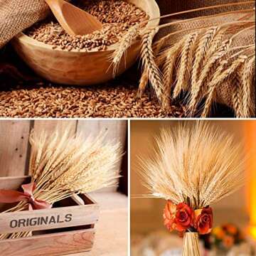 June Fox Dried Wheat Stalks, 100 Stems Wheat Sheaves for Decorating Wedding Table Home Kitchen (15.7 Inches)