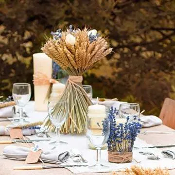 June Fox Dried Wheat Stalks, 100 Stems Wheat Sheaves for Decorating Wedding Table Home Kitchen (15.7 Inches)