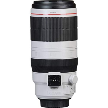 Canon EF 100-400mm f/4.5-5.6L IS II Lens for Professionals