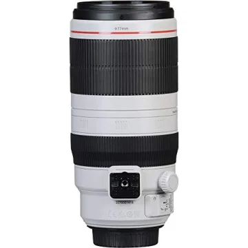 Canon EF 100-400mm f/4.5-5.6L IS II Lens for Professionals