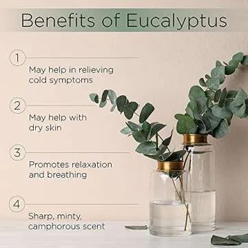 Radha Beauty Eucalyptus Essential Oil 4 oz - 100% Pure & Therapeutic Grade, Steam Distilled for Aromatherapy, Relaxation, Shower, Sauna, Bath, Steam Room and Other DIY Projects.