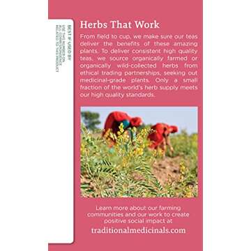 Traditional Medicinals Mother's Milk, Women's Tea, Organic, 16 CT (Pack - 3)