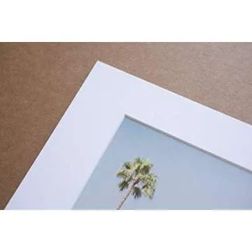 California Wall Art - Venice Beach Palm Tree Print