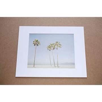 California Wall Art - Venice Beach Palm Tree Print