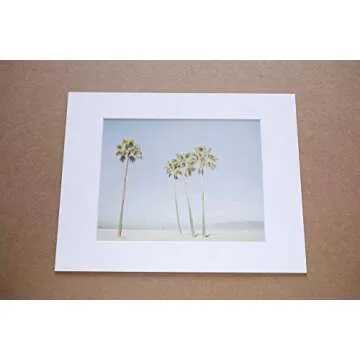 California Wall Art - Venice Beach Palm Tree Print