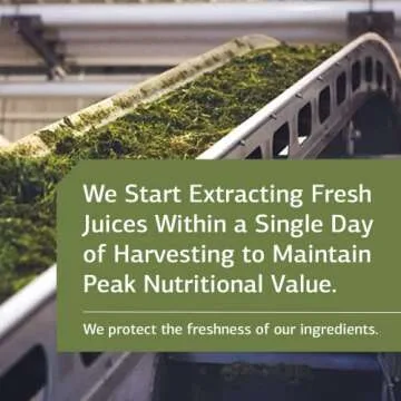 Standard Process Inc. Neuroplex - Whole Food Nervous System Supplements, Brain Health and Brain Support with Thiamin, Spanish Moss, Riboflavin, Calcium Lactate, Vitamin B6, Niacin - 90 Capsules
