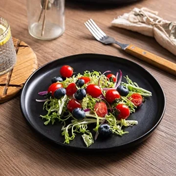 AmorArc 10.5 Inch Ceramic Plates Set of 6