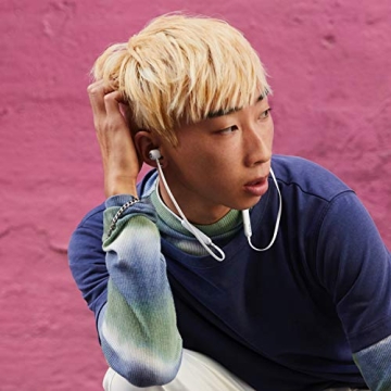 Beats Flex Wireless Earbuds - 12 Hours of Playtime